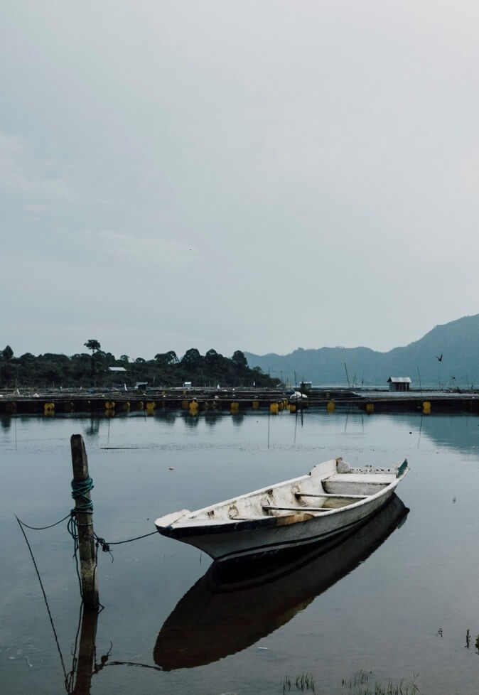 Boat Rentals