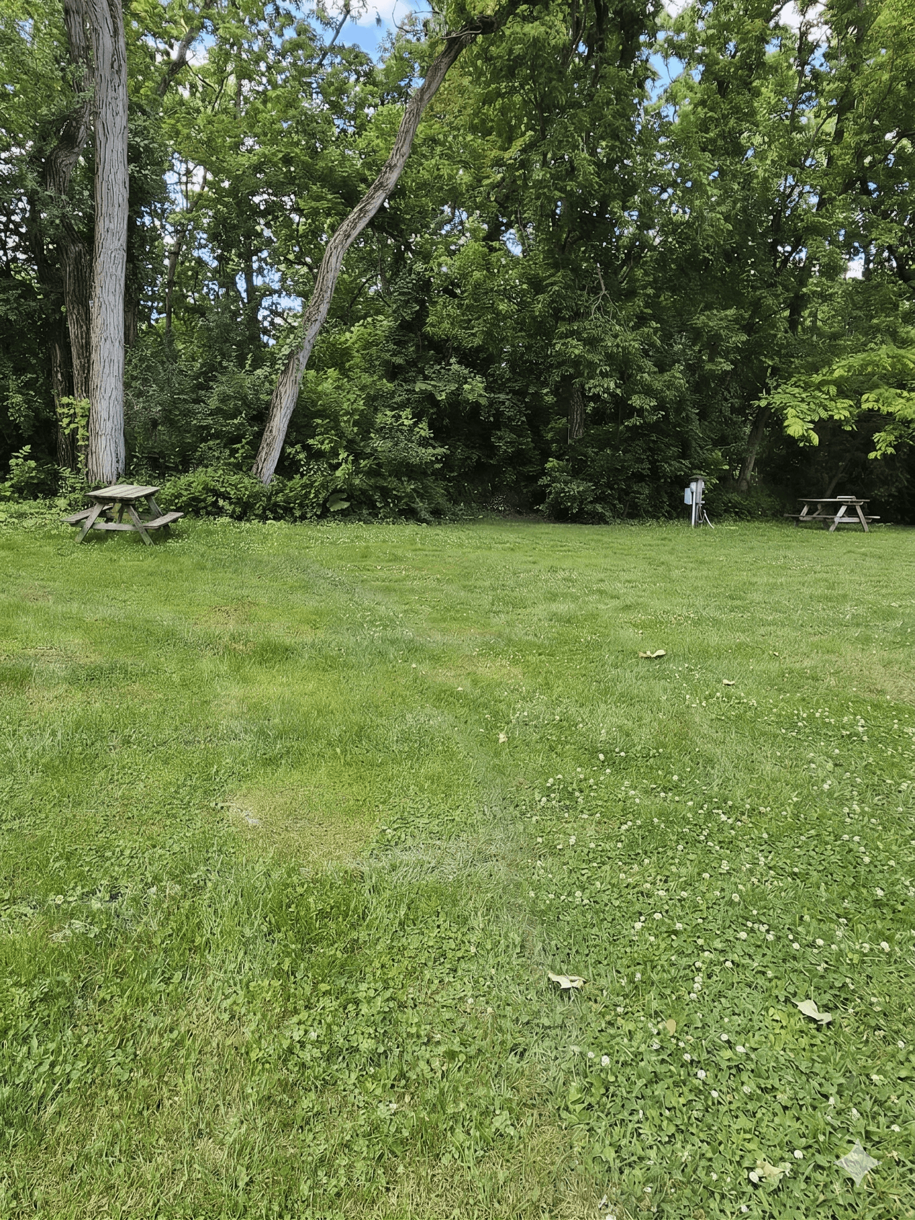Spot 14 for Trailer Rental