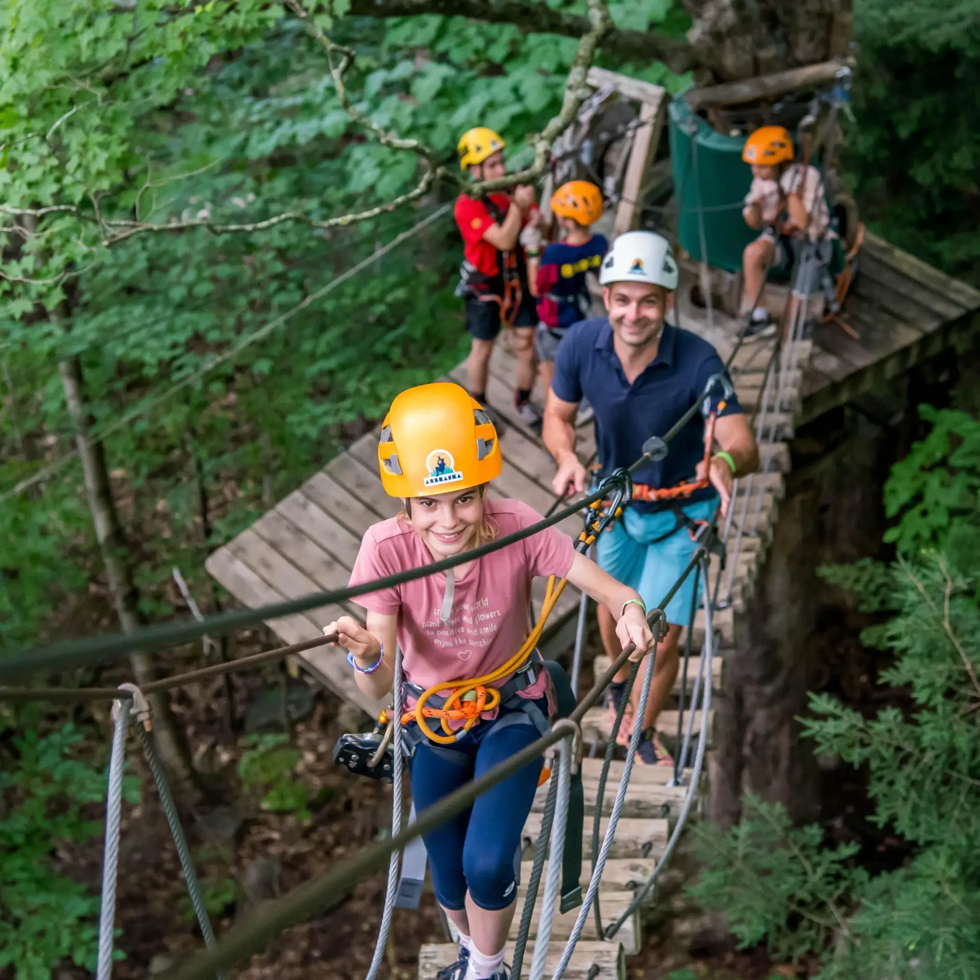 Tree Top Trekking