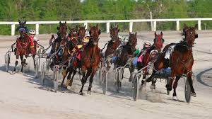 Kawartha Downs