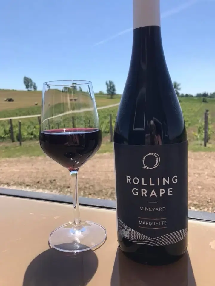 Rolling Grape Vineyard