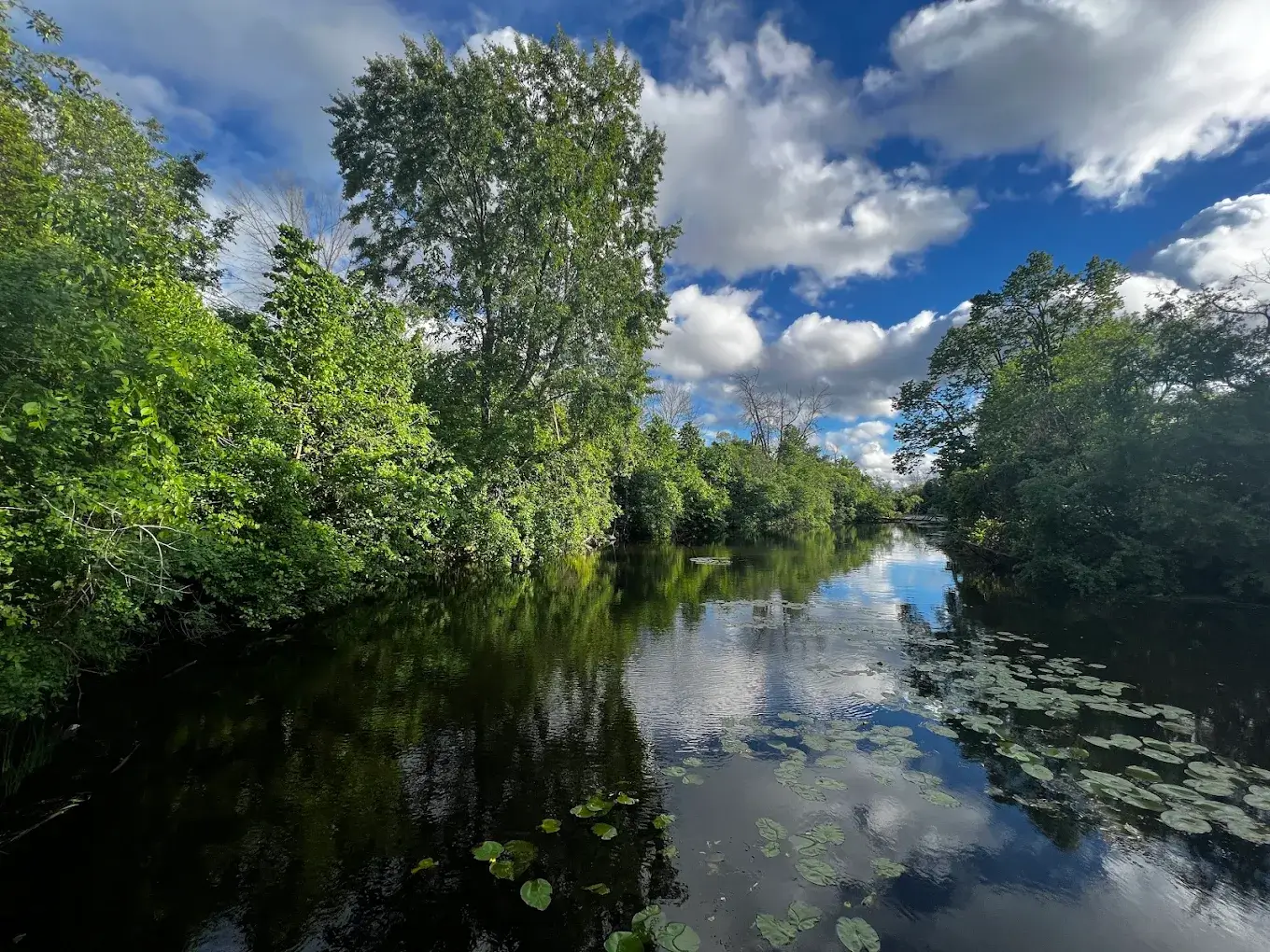 GreenUP Ecology Park