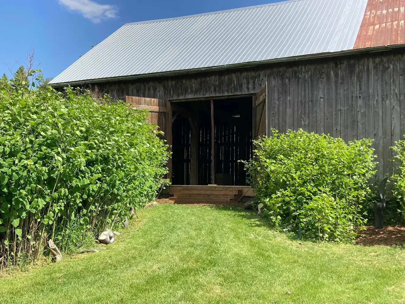 Rice Lake Arts