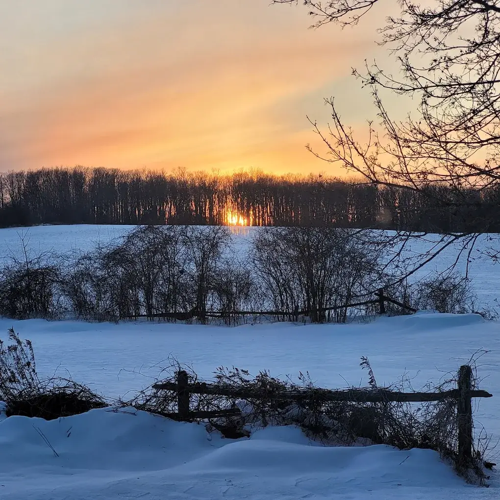 Rice Lake Arts