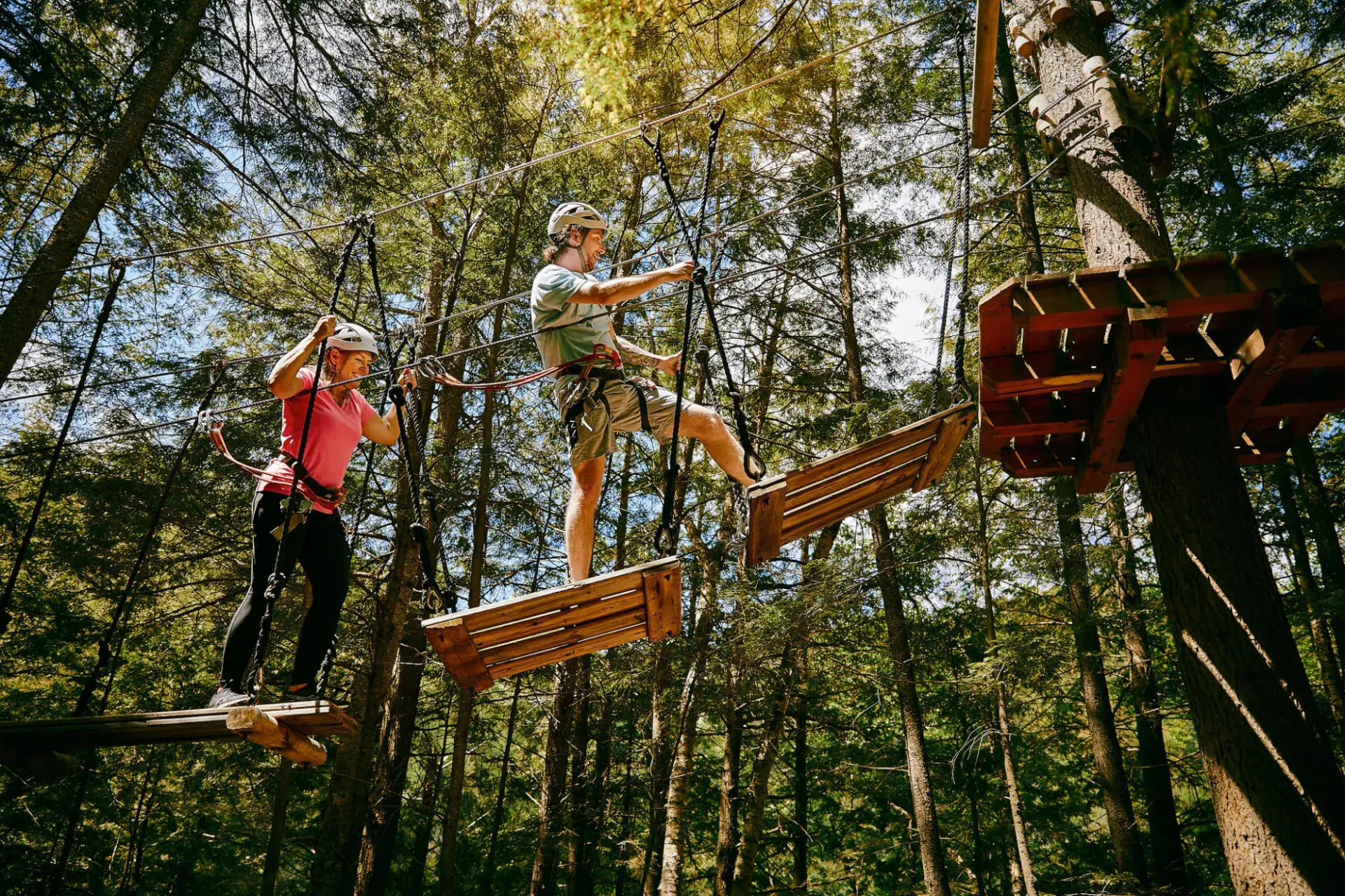 Tree Top Trekking
